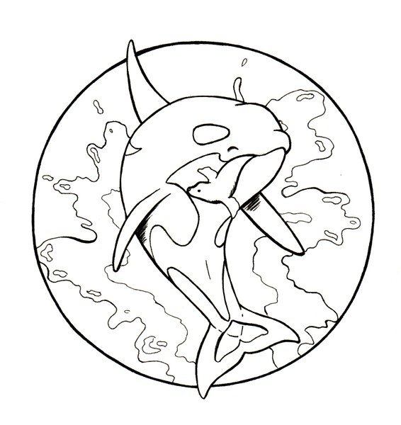 Orca