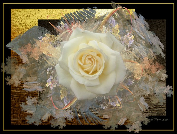 Kiss From a Rose