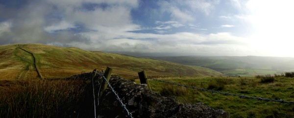 Dyke and fence at Witchie Knowe