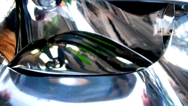 glass fish