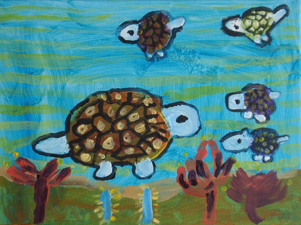 5 schildpadden