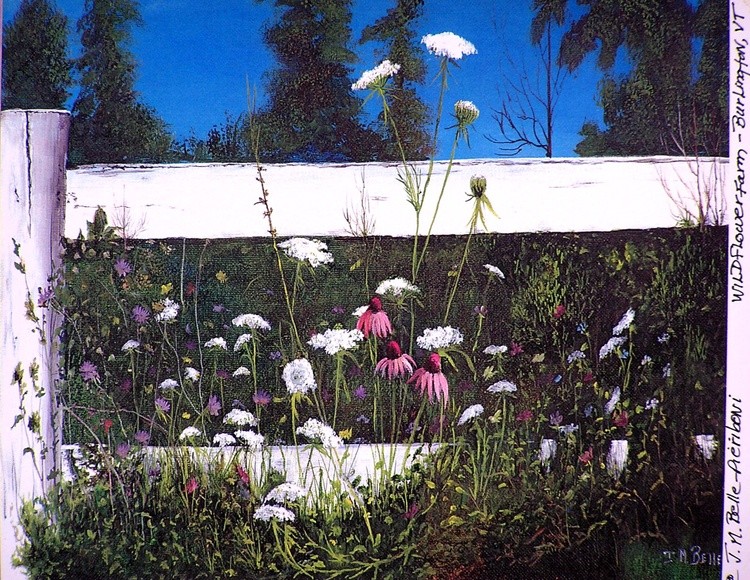 Wildflower Farm
