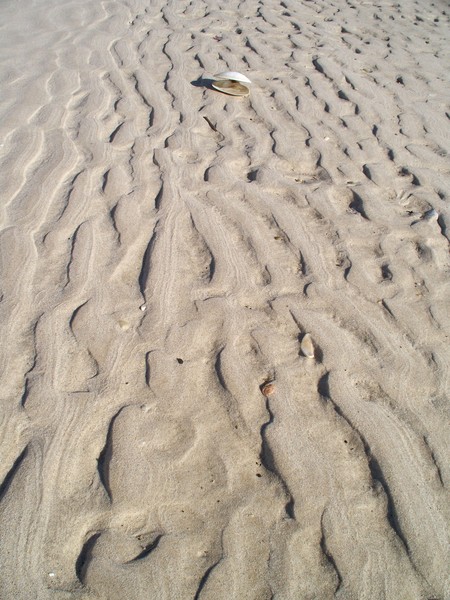 sand 1