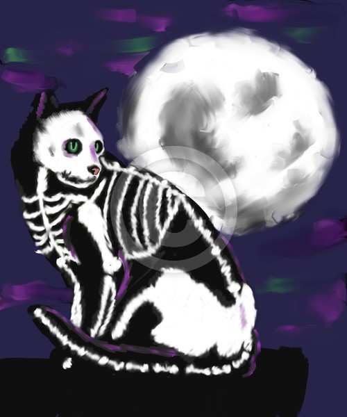Halloween Night