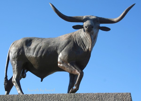 Bull Sculpture in Chihuahua