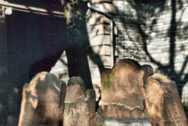 Cemetery Shadows