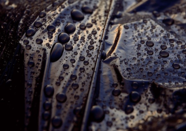Rain Droplets