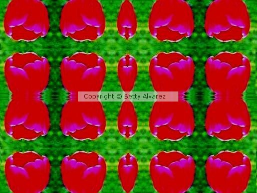 Tulipas e Borboletas 2