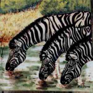 Zebras at the Waterhole