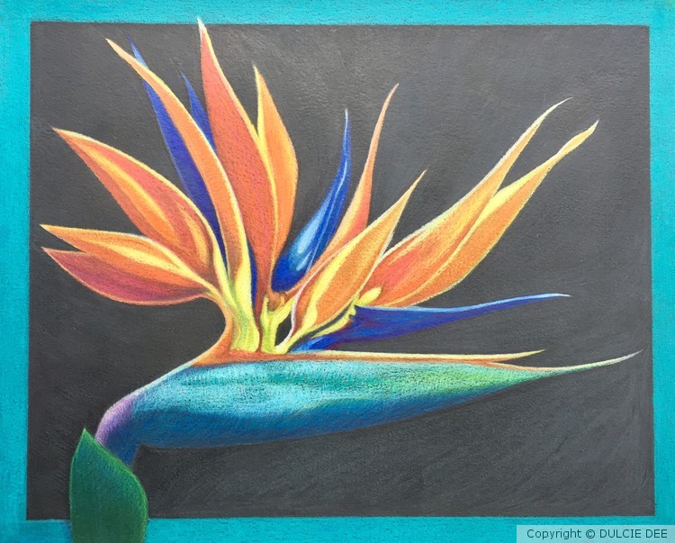 BIRDS OF PARADISE