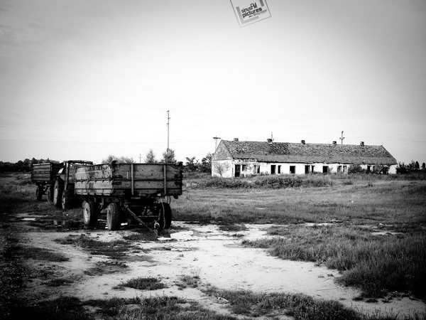 Desolate farm