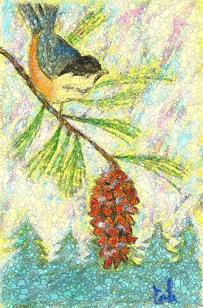 Noel