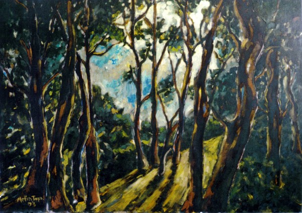 the grove