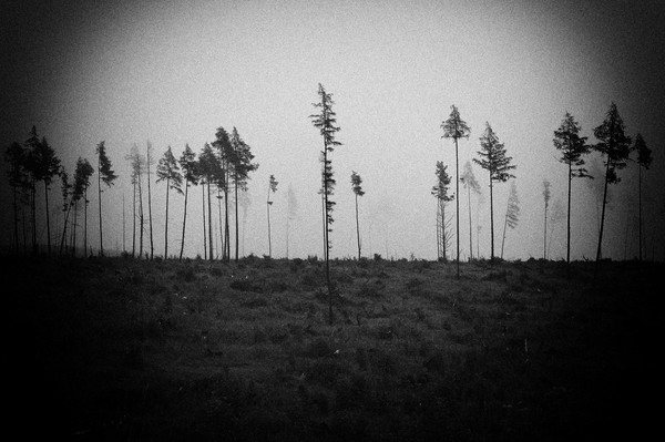 After the storm