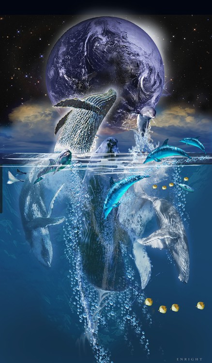 Whale Song 