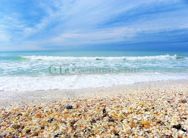 SHE SELLS SEASHELLS