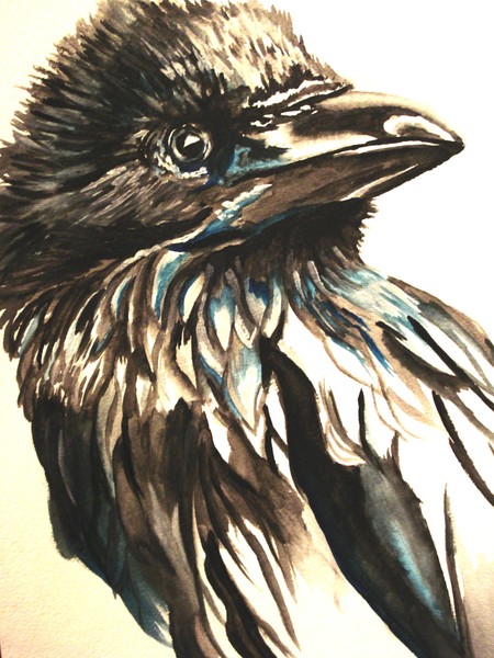 Raven