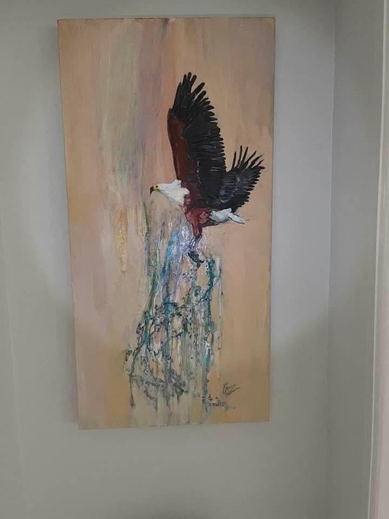 African Fish Eagle 