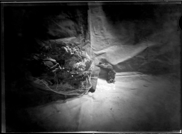 Camera obscura