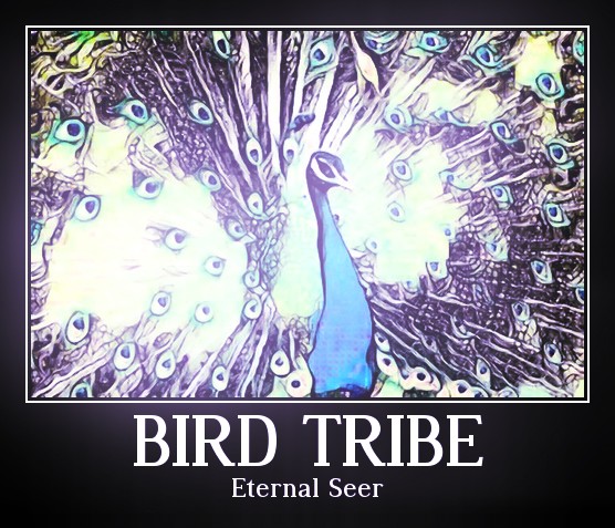 Bird Tribe