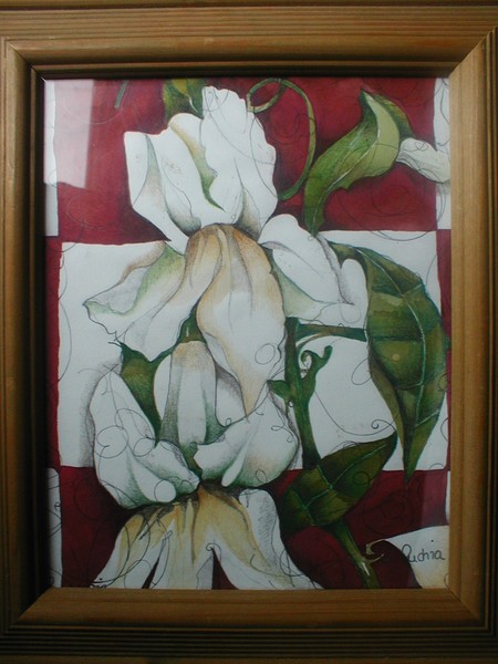 Lily