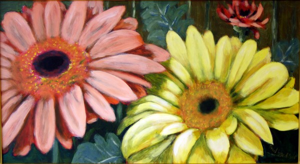 Gerberas