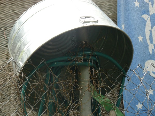 A bucket