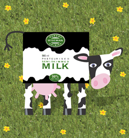 Cow
