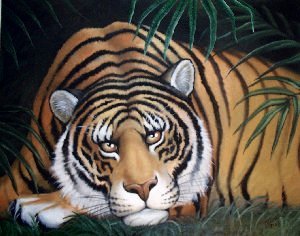 Patience (Tigress)