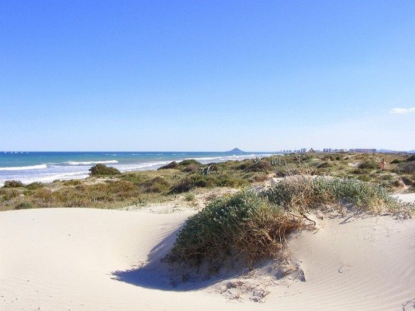 THE DUNES