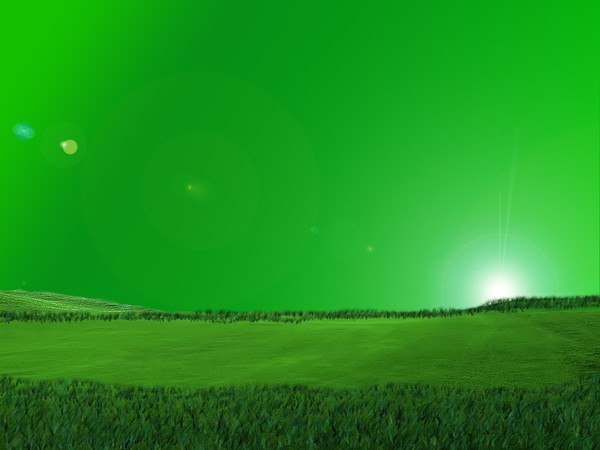 Emerald Dream