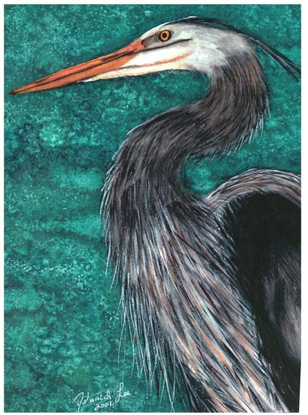 Great Blue