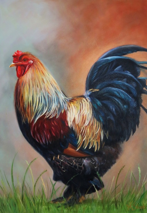 Proud Rooster 1