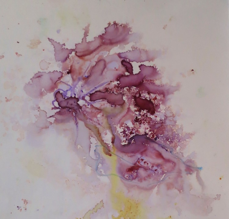 Flower Study
