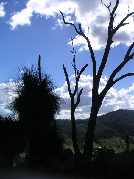 Beaudesert landscape