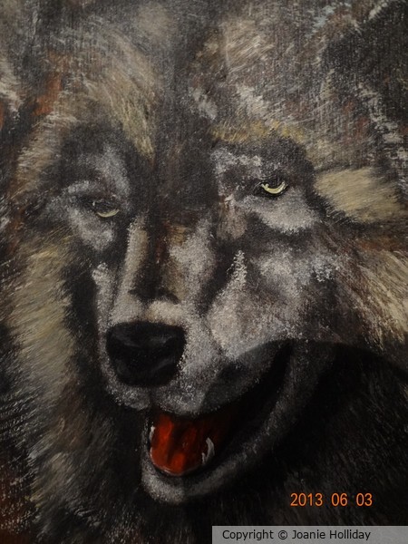 WOLF, OIL ON WOOD