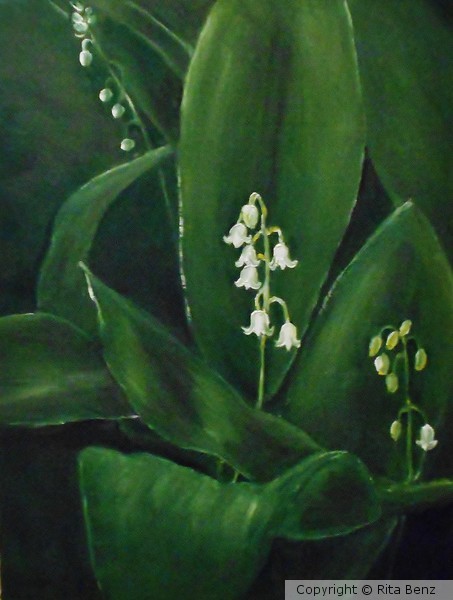 Lily of the Valley