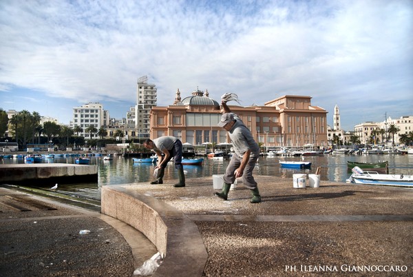 Bari