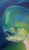 mahi2