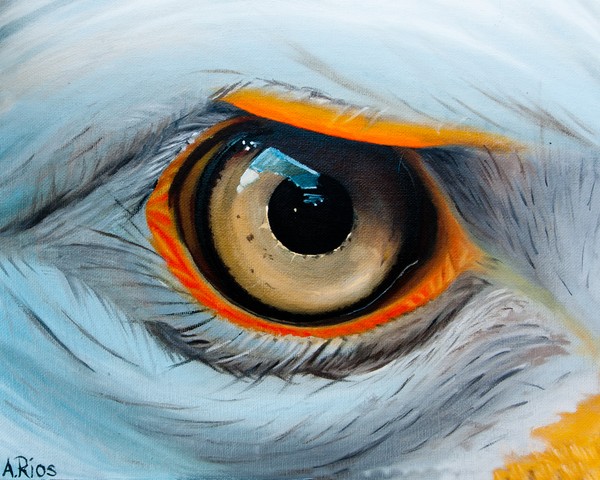 EAGLE Eye