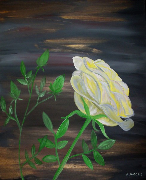 Midnight Rose