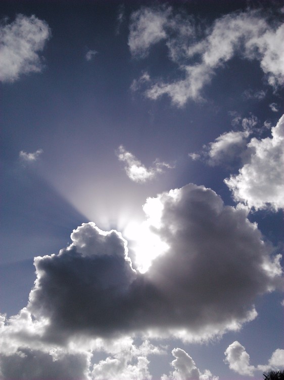 rays of light