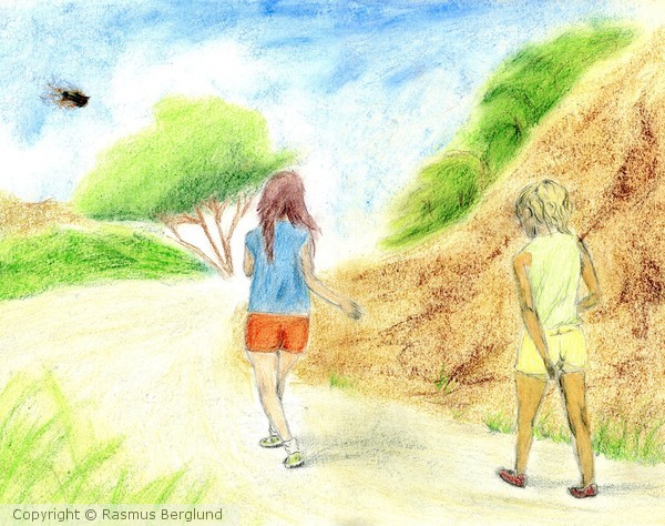 Daily Walk