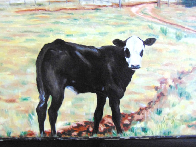 cutie face calf