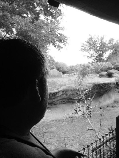 Out on Safari
