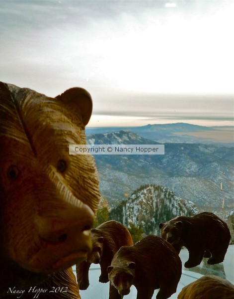Bear Country
