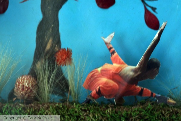Crouching Tiger, Hidden Lorax III-detail photo