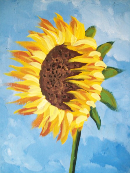 Sunflower