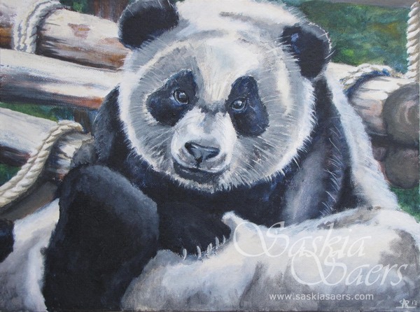 Panda