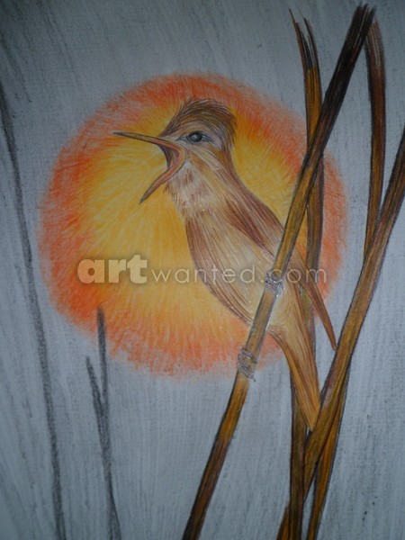 weed warbler